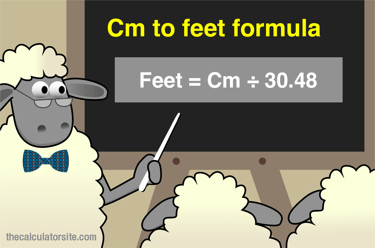 Cm Feet Formula 