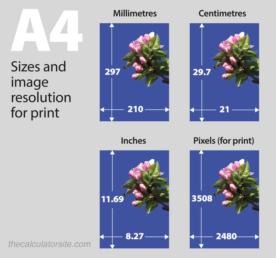 What Are The Width And Height Of A4 Paper 